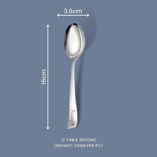Stainless Steel Spoons Set of 12