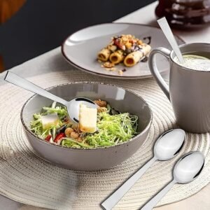 Stainless Steel Spoons Set of 12